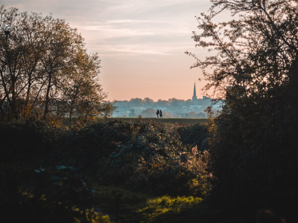 Photograph by Ryan Lee