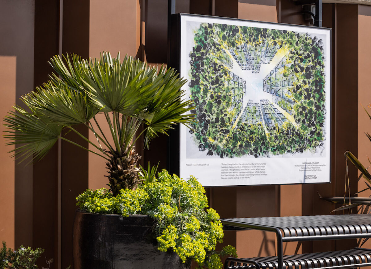 Sustainable Planet Exhibition on Lower Stable Street